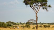 Wagora MTB Ride: Singita, Grumeti Fund event to raise funds for anti-poaching in the Serengeti
