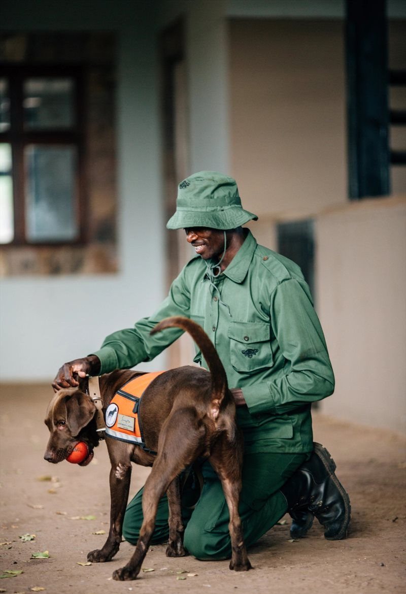 Source: Supplied | Canine Unit, Grumeti_Fund, Tanzania