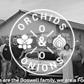 #OrchidsandOnions: The Boswell family's multi-generational journey with Ford SA
