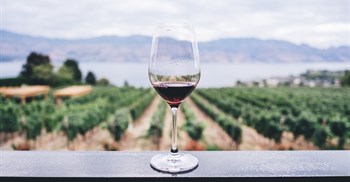 Blend and bond: South Africa Wine Summit set to explore untapped global market potential