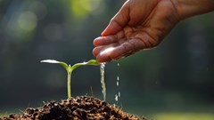 Applications open for GoGettaz Agripreneur Prize Competition