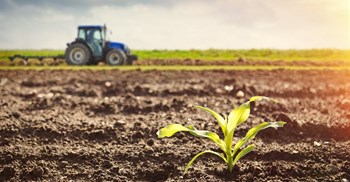 Old Mutual, Cape Chamber join forces to enhance agricultural industry