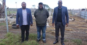 Eastern Cape launches support programme, boosting emerging mohair farmers