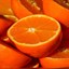 SA takes WTO action against EU's citrus regulations