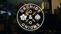 #OrchidsandOnions: Scientists sail across the seas to satisfy their KFC craving