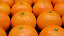 SA challenges EU citrus regulations for second time
