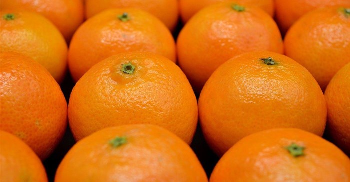 SA challenges EU citrus regulations for second time