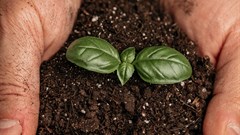 Duxbury Networking goes green with sustainable product packaging