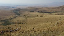 Mabola Protected Area in the Mpumalanga grasslands is under threat of coal mining. Archive photo: supplied