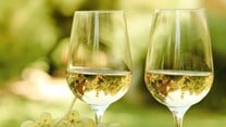#SauvBlancDay: Celebrating the diversity and global appeal of Sauvignon Blanc