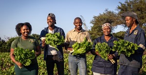 Mondi Zimele spurs local economic recovery with 122 emerging farmers