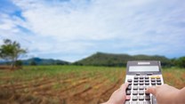 The crucial role of financial management in farming success