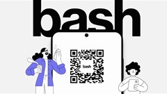 Bash acquires the Zando.co.za domain