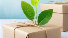 Consumers and businesses are demanding eco-friendly products and services