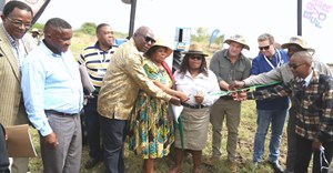 Unilever and DOA launch Jozini smallholder farmer programme