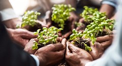Steenhuisen to host G20 agriculture, food security talks in Durban
