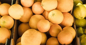 Citrus export volumes set to rise 3.6% in 2025, but risks remain