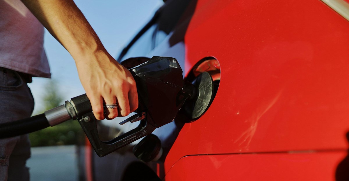 Reserve Bank holds repo rate as fuel price shock looms