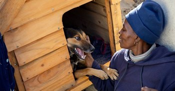 Four Paws welcomes landmark pet population data in South Africa
