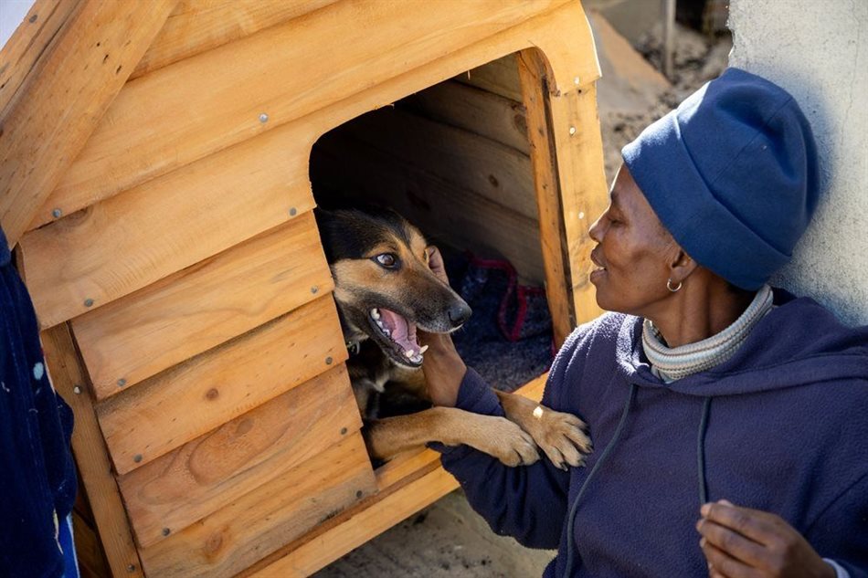 Four Paws welcomes landmark pet population data in South Africa