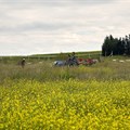 #WorldEnvironmentDay: Farm-to-table strengthens food security and sustainability