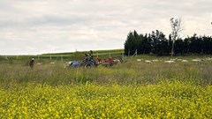 #WorldEnvironmentDay: Farm-to-table strengthens food security and sustainability