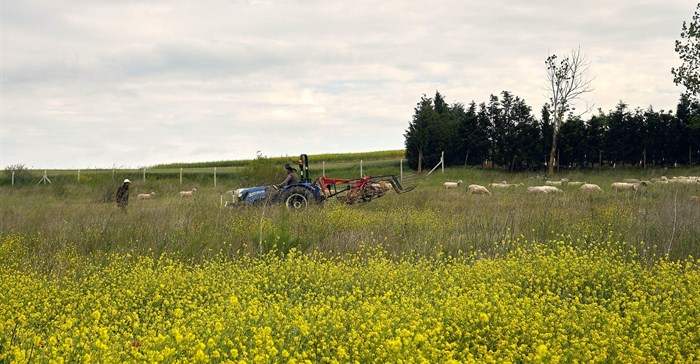 #WorldEnvironmentDay: Farm-to-table strengthens food security and sustainability