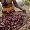 Jacobs Coffee deepens its commitment to sustainable sourcing