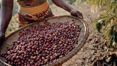 Jacobs Coffee deepens its commitment to sustainable sourcing