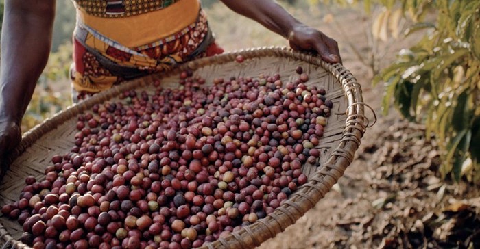 Jacobs Coffee deepens its commitment to sustainable sourcing