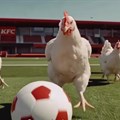 KFC brings chickens to the field. Source: YouTube.