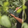 AI platform targets Africa's $65bn smallholder finance gap