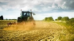 Willie Aucamp appointed agriculture minister, replacing Steenhuisen