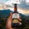 Craft beer startup Tolokazi Beer joins female founder funding programme
