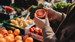 Avocado playbook shows fresh produce must align with Gen Z values