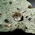 Octahedral, approx. 1.8 carat (6 mm), diamond crystal in kimberlite matrix from Finsch Diamond Mine, South Africa. Image credit: , Public domain, via Wikimedia Commons