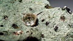 Octahedral, approx. 1.8 carat (6 mm), diamond crystal in kimberlite matrix from Finsch Diamond Mine, South Africa. Image credit: , Public domain, via Wikimedia Commons