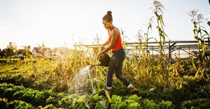 Land Bank calls for greater youth participation in agriculture