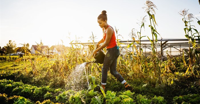 Land Bank calls for greater youth participation in agriculture