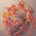 3D structure of a melanoma cell derived by ion abrasion scanning electron microscopy. Image credit:  on