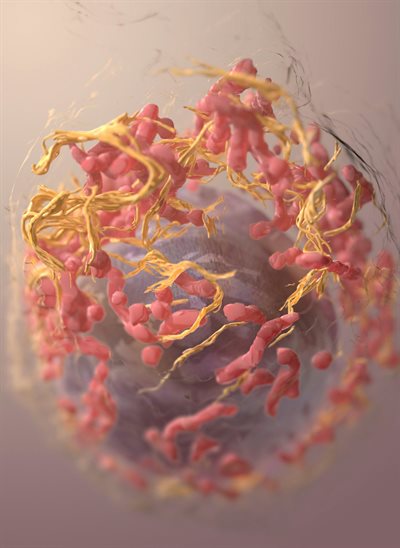 3D structure of a melanoma cell derived by ion abrasion scanning electron microscopy. Image credit: on