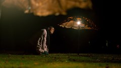 Spier Light Art has opened its 2027 call, inviting artists to submit ideas for site-specific, light-led works that will transform the Stellenbosch wine farm into an after-dark exhibition. (Image supplied)