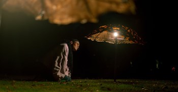 Spier Light Art has opened its 2027 call, inviting artists to submit ideas for site-specific, light-led works that will transform the Stellenbosch wine farm into an after-dark exhibition. (Image supplied)