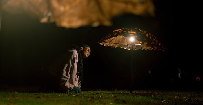 Spier Light Art has opened its 2027 call, inviting artists to submit ideas for site-specific, light-led works that will transform the Stellenbosch wine farm into an after-dark exhibition. (Image supplied)