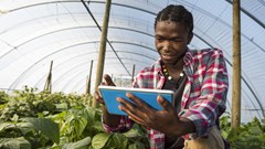AI offers promise for agriculture, but smallholder farmers risk being left behind