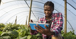 AI offers promise for agriculture, but smallholder farmers risk being left behind