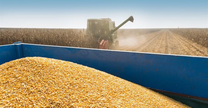 Why Far East demand matters for SA's bumper maize harvest