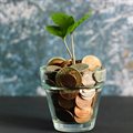 Absa unveils entrepreneurship fund for young South Africans