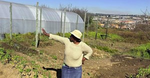 Urban farming helps Johannesburg’s poorest households survive – now it needs bigger investment