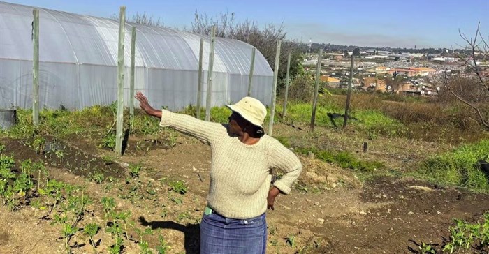 Urban farming helps Johannesburg’s poorest households survive – now it needs bigger investment